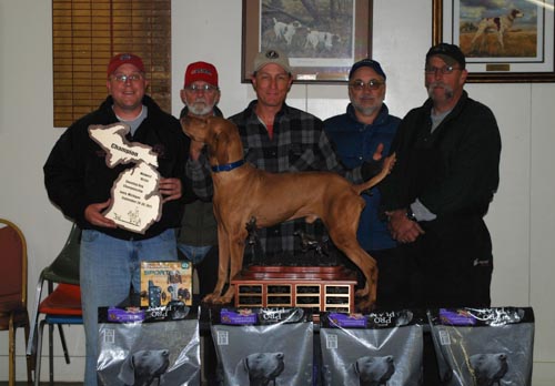 Cisco - 2011 Midwest Vizsla Shooting Dog Champion