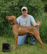 Cisco - 2008 VCM Amateur Gun Dog of the Year